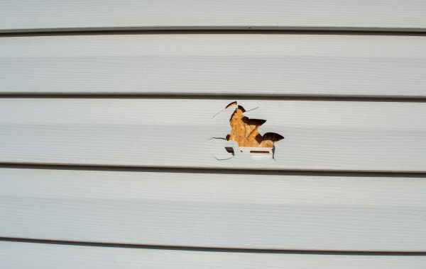 Cost of Siding Hole Patching in Saint Joseph
